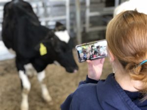 Adopt A Cow program