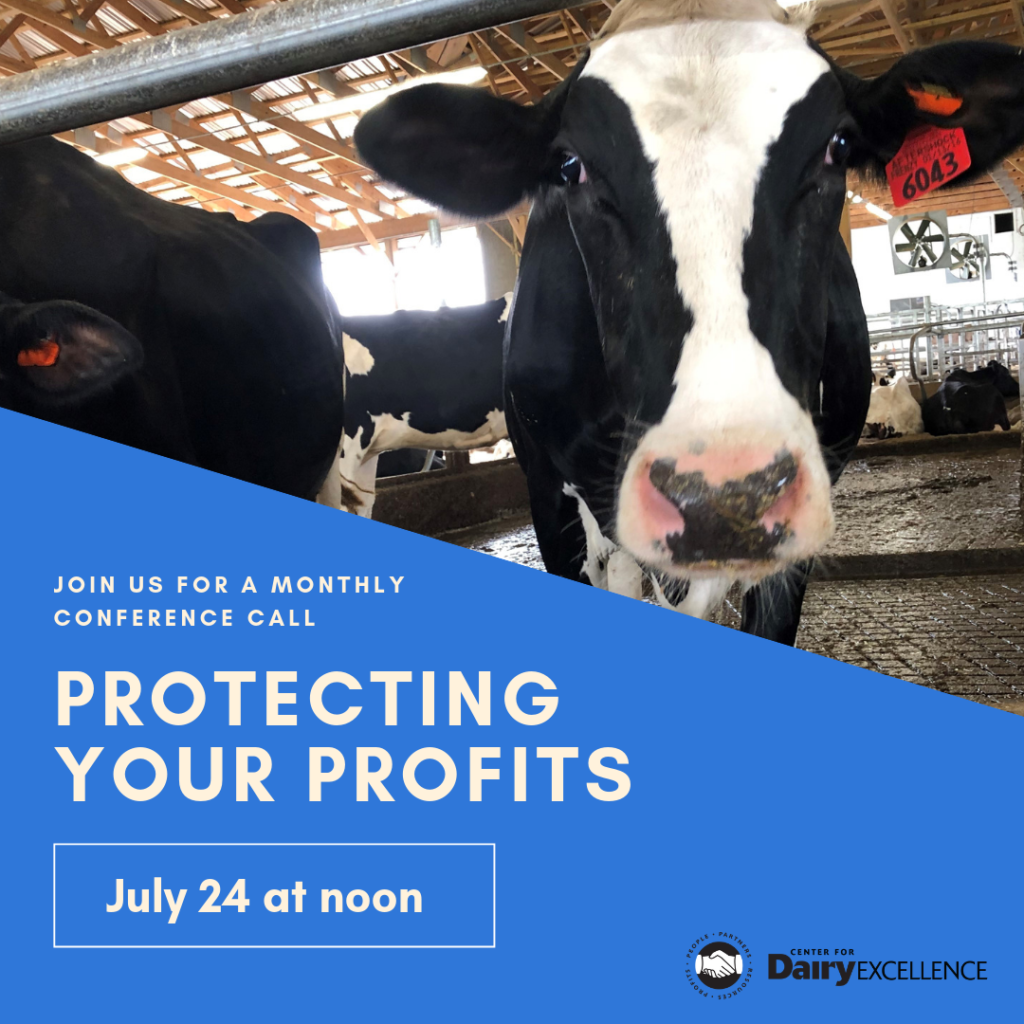 Protecting Your Profits call