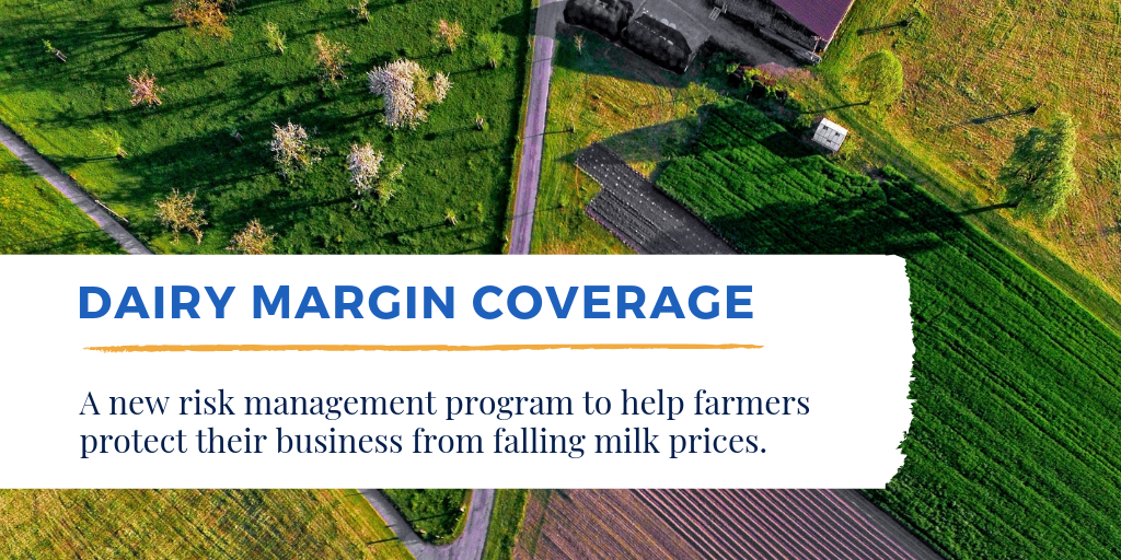 Dairy Margin Coverage is a new risk management program to help farmers protect their businesses from falling milk prices.