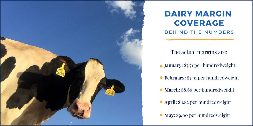 Dairy Margin Coverage margin numbers