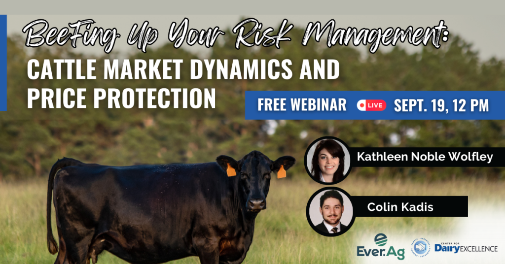 Beefing Up Your Risk Management: Cattle Market Dynamics & Price ...