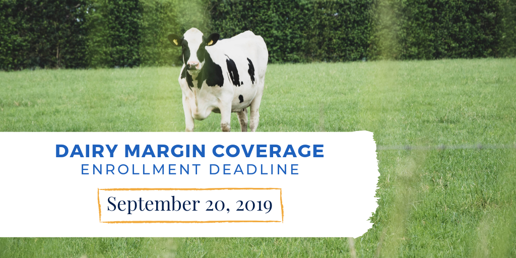 Dairy Margin Coverage enrollment deadline is Sept. 20, 2019.