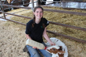 Montana, an on-farm intern, with a calf