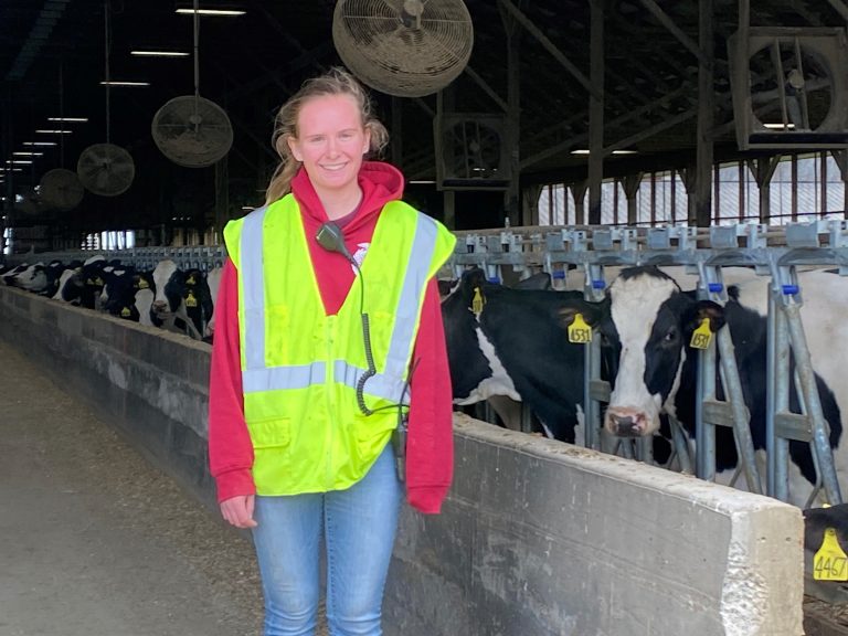 On-Farm Internships | Center for Dairy Excellence