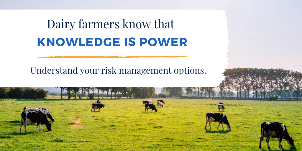 Dairy farmers know that knowledge is power. Understand your risk management options.