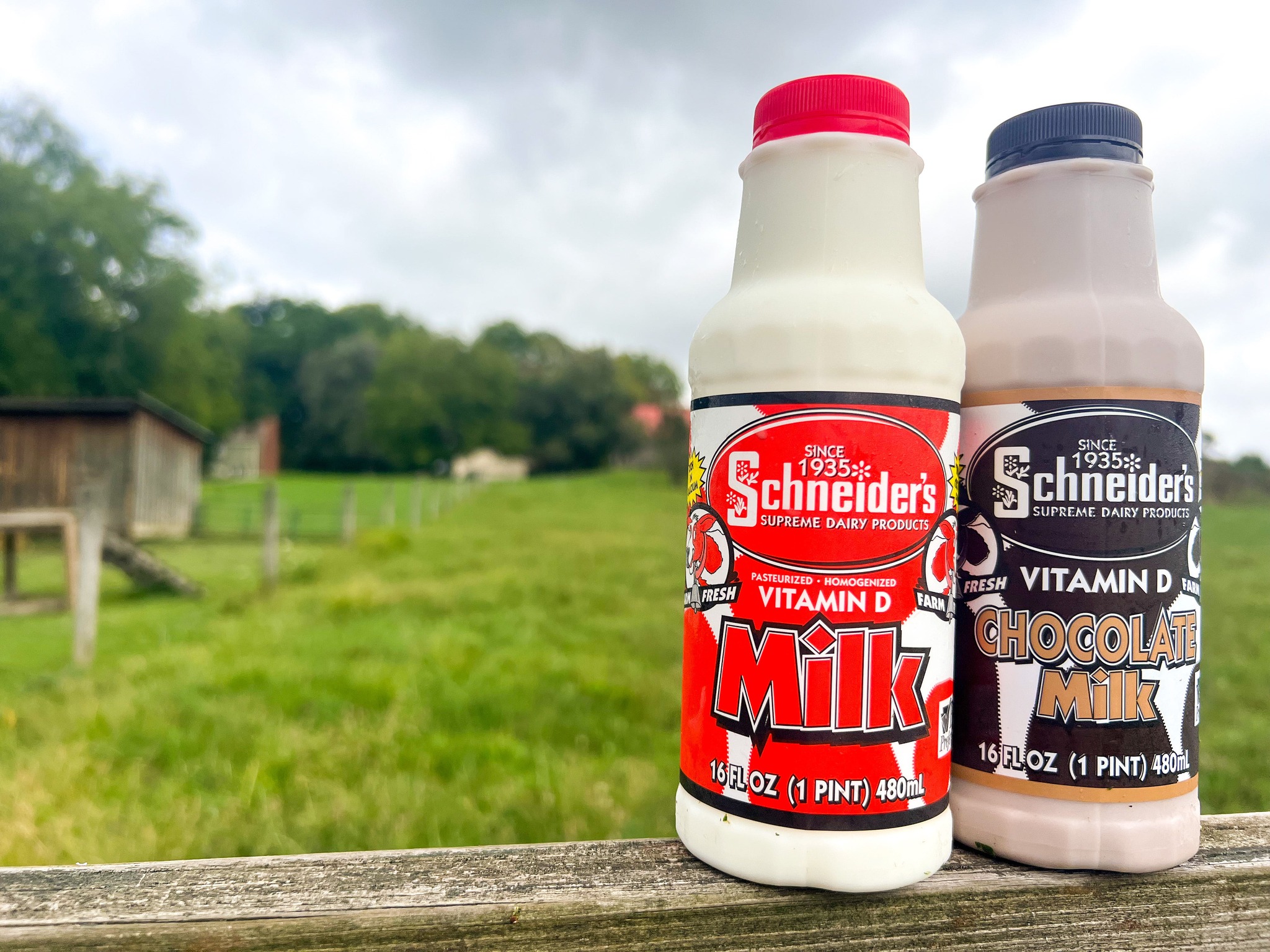 PA Dairy Processor Expands Capacity in Sour Cream Department With an