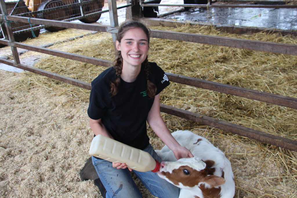 Enrollment Open for 2020 On-Farm Internship Program | Center for Dairy ...