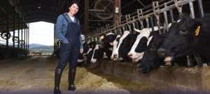 Woman on dairy farm