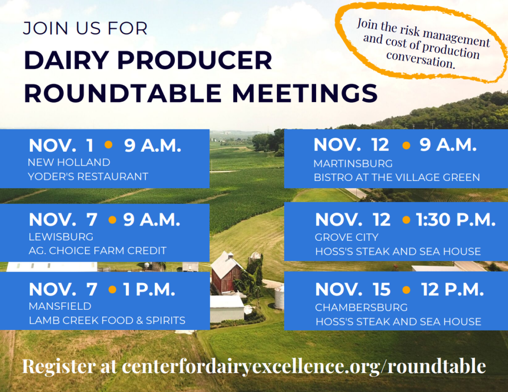 Roundtable meetings