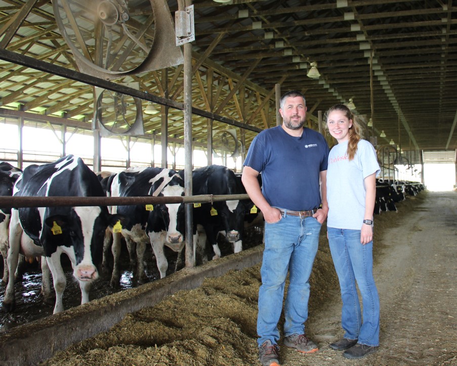 Dairy Job Opportunities Resource Available for Farms Looking for Labor Center for Dairy Excellence