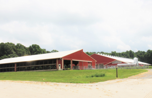 Vista Grande Farms