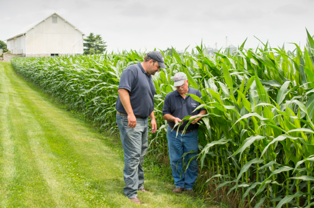 On-farm team program