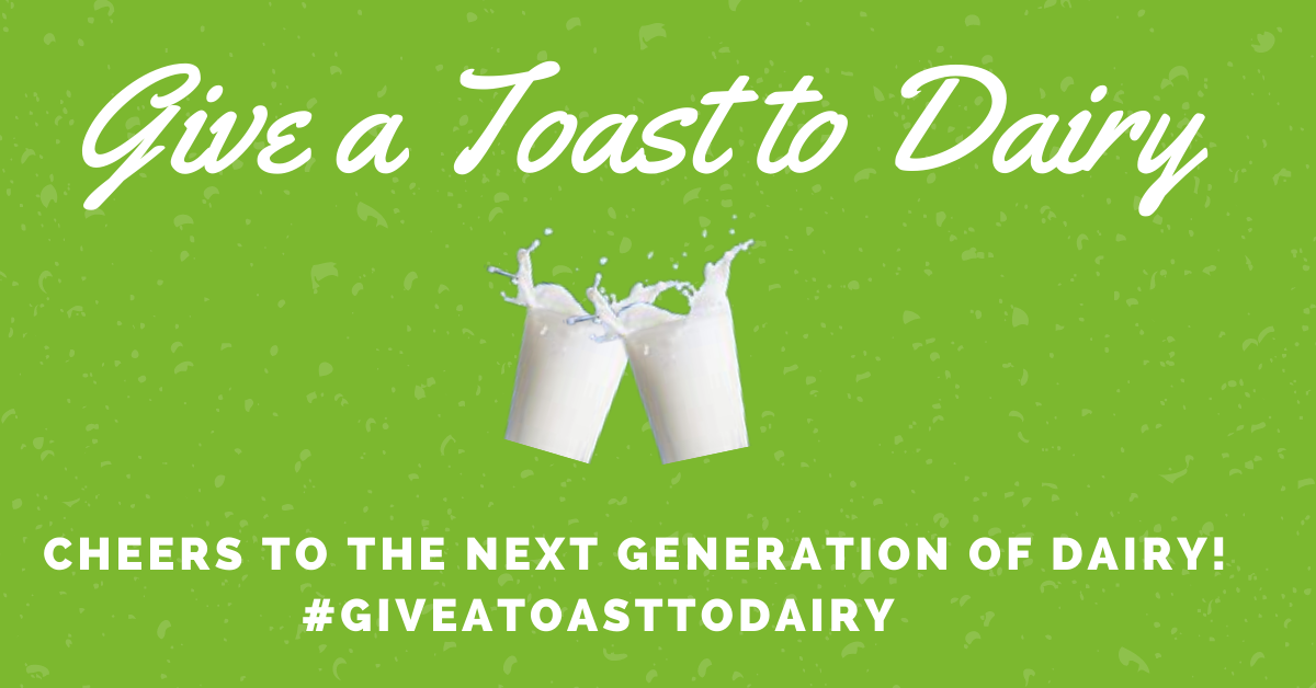 Give a (Virtual) Toast to Dairy Center for Dairy Excellence
