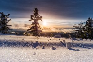 Snow in field